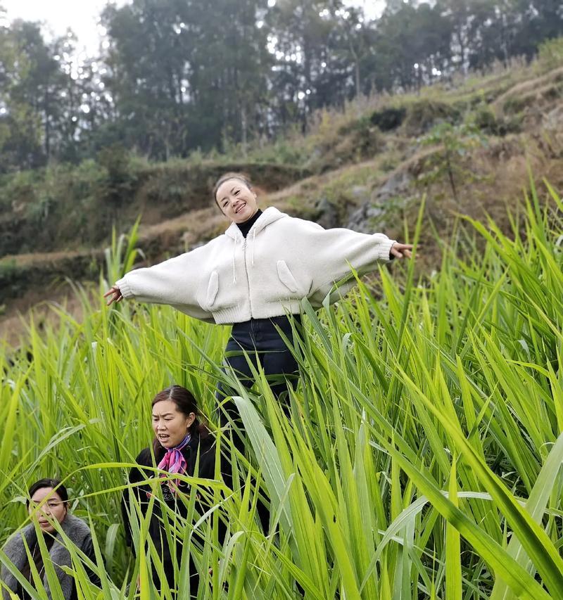 无穷的喜悦（一个人物的奇幻旅程）