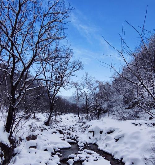 初雪之夜（一个人的回忆、雪地里的足迹）