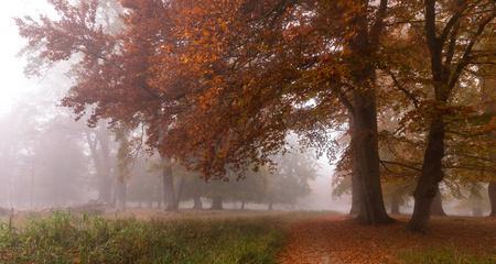 EarlyMorninginAutumn（AStoryofLove,Reflection,andRenewal）