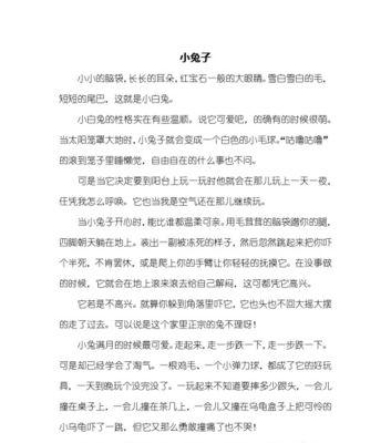 小白兔的故事（一个小白兔的奇遇记）