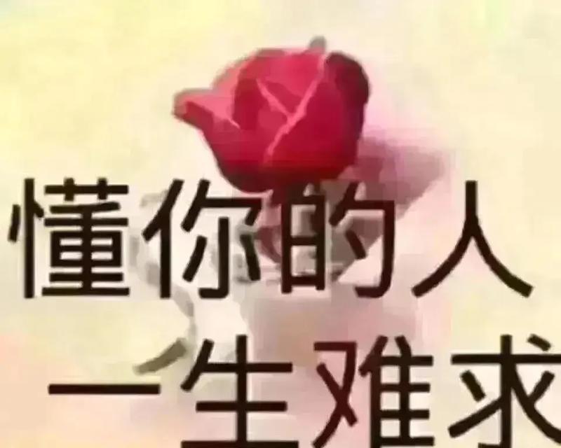 坚持不懈的力量（内心的力量决定未来）