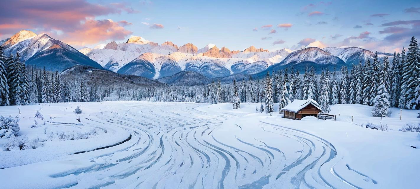 纯洁雪花的故事：冬日里的神奇