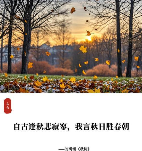 秋日的轻风（用心感受那份温暖）