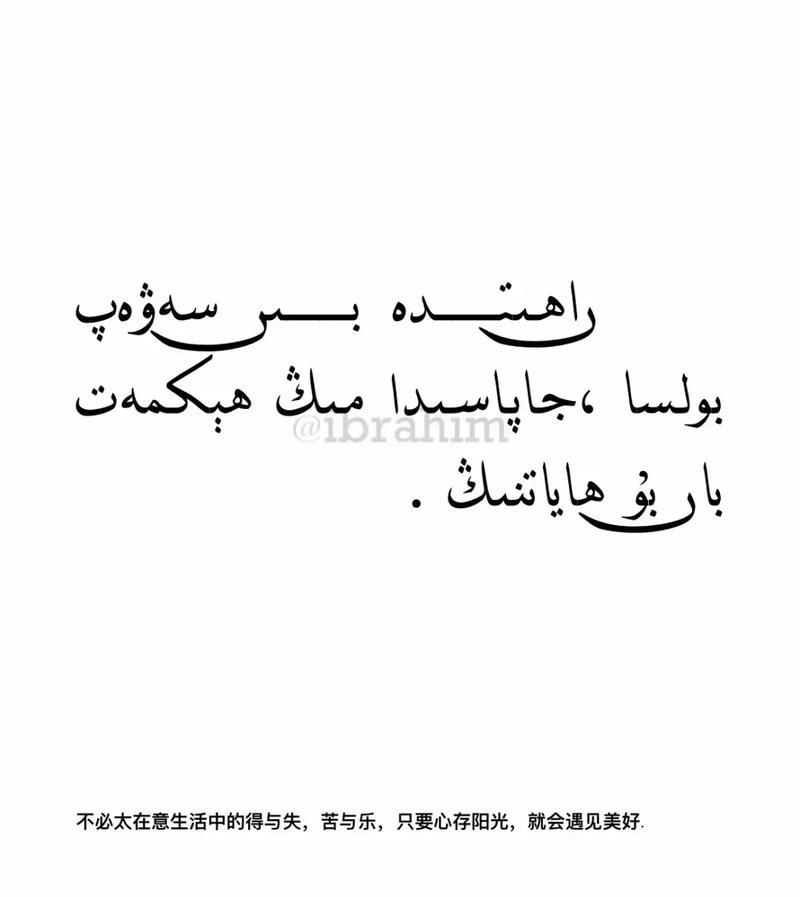 坚持不懈，走向成功（一个小学生的成长之路）