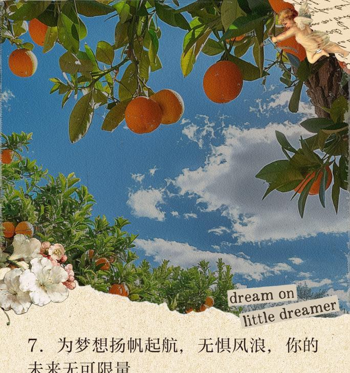 梦想起航:永不放弃的坚韧