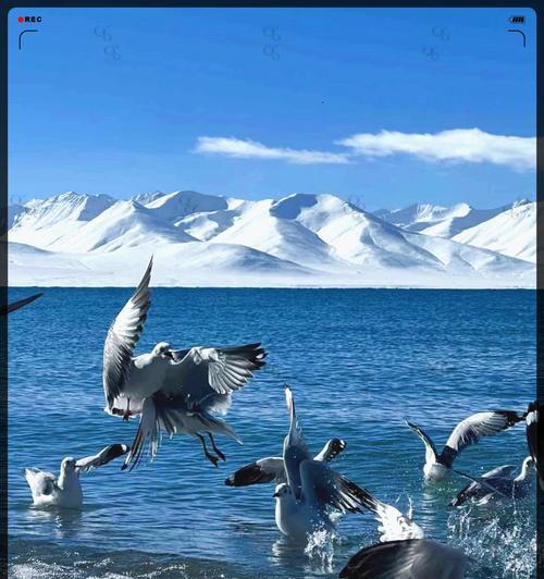 湖畔奇遇：探秘壮丽湖光山色