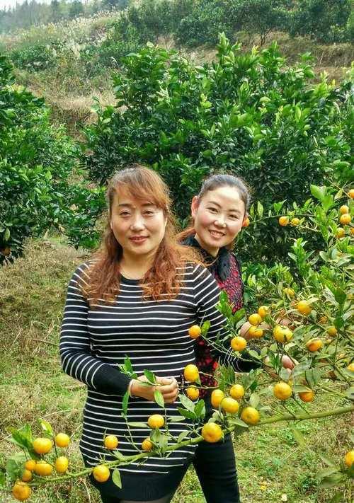 甜香糕点的诱惑（一位女孩的美食探索）