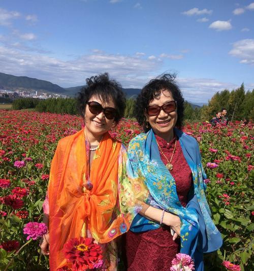 岁月留痕（一个女孩的成长记忆）