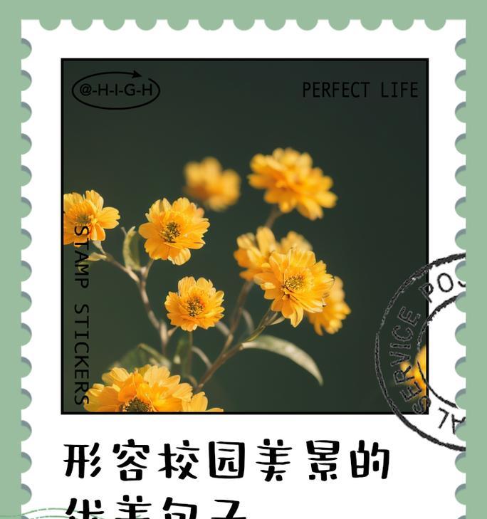 校园之美：探寻校园的秘密