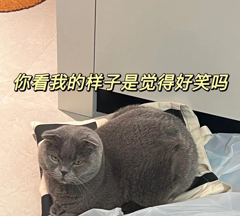 她的身形丰满，可她心中的爱却足以填满整个世界（她的身形丰满，可她心中的爱却足以填满整个世界）