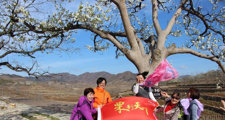 默守，无声伴随（孤岛上的守望者）
