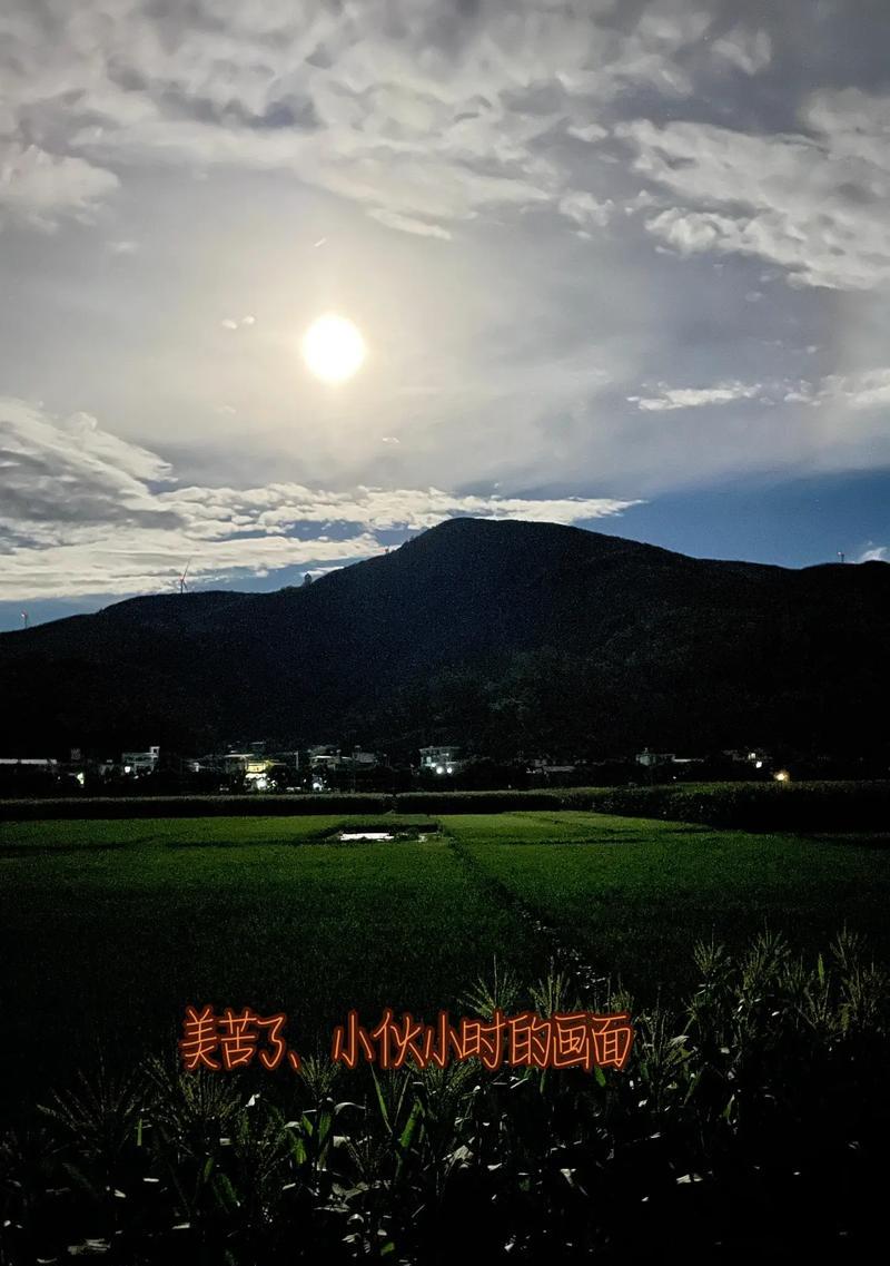闪耀着光芒的女孩(追寻内心的光芒)