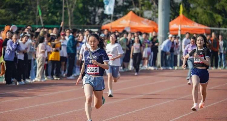 青春不悔（追逐梦想路上的无悔选择）