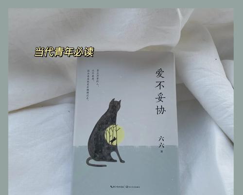 一场跨越半个地球的青春之旅（勇敢追梦，只争朝夕）