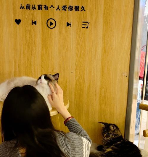 幸福在前方等你（以幸福为目标，推动自己前进）