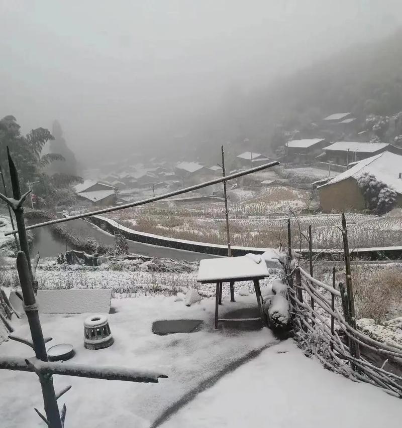 第一场雪(寒冬里温暖的记忆)