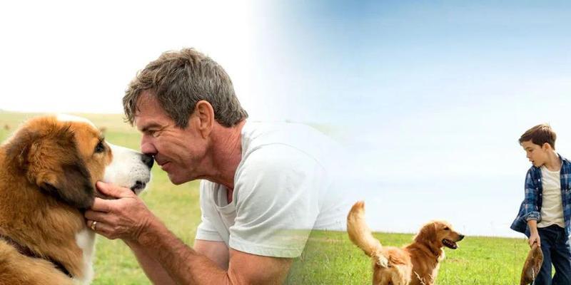 TheHarmonybetweenManandAnimal（AStoryofLoveandRespect）