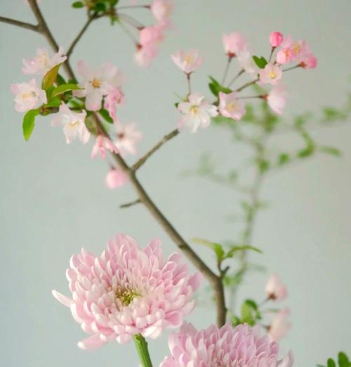 春天里的小故事（春色恍如梦境）