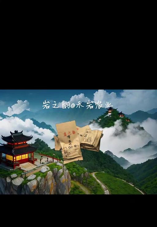 文化的魅力（用心感悟，品味多彩文化）