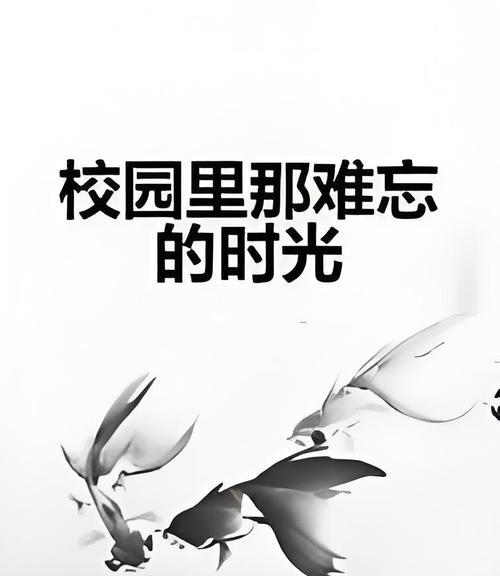 难忘的校园生活：从初入校园到离校的成长历程