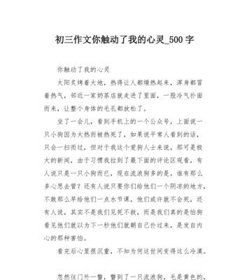 浪迹天涯的她（生命的转折点与无尽的感动）