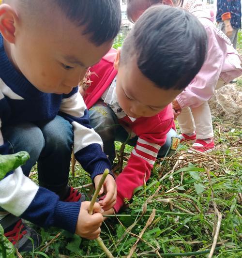 分享成果，助力更多人前行（一次实践活动的启示）