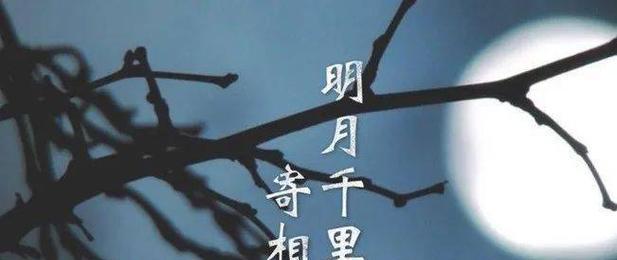 一只小狗的故事（有一种爱，叫无私）