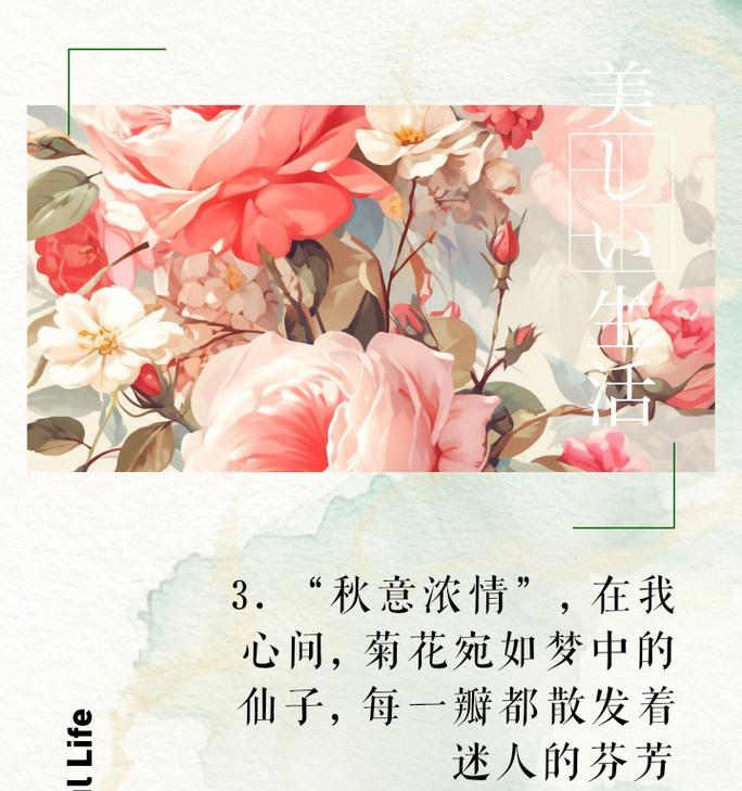 一场菊花盛宴（一场菊花盛宴）