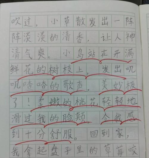 春天的美丽（一个季节的魅力）