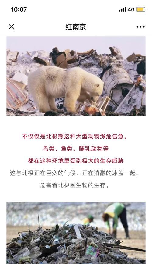 拯救星球（保护环境，从我做起）