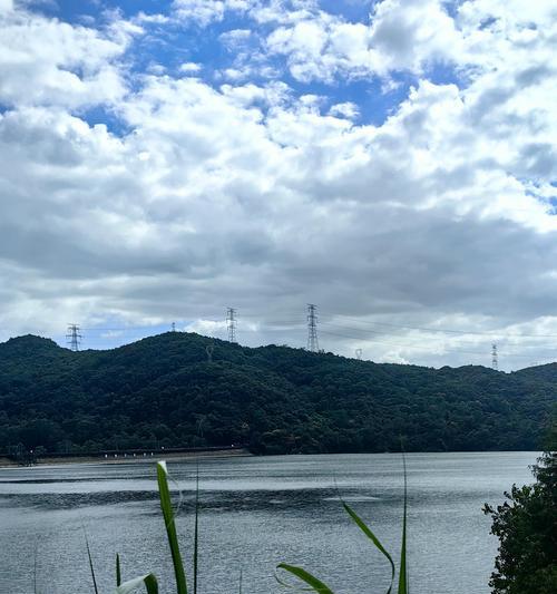 光亮的岁月（勇敢追寻自我，让生命充满光亮）