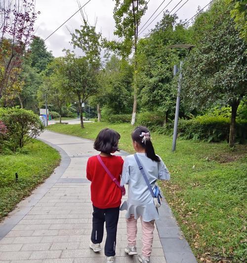 学路上的故事——一步步，踏实走过人生路