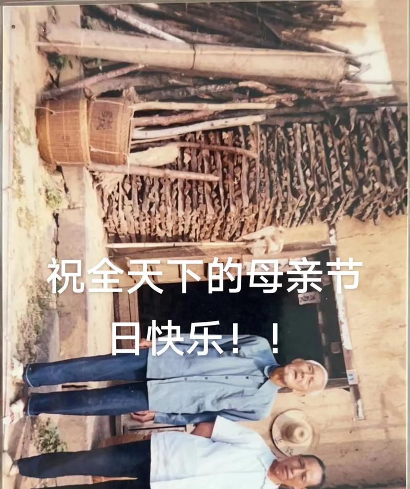 祖母和我的回忆（在我成长的道路上，始终不离不弃）