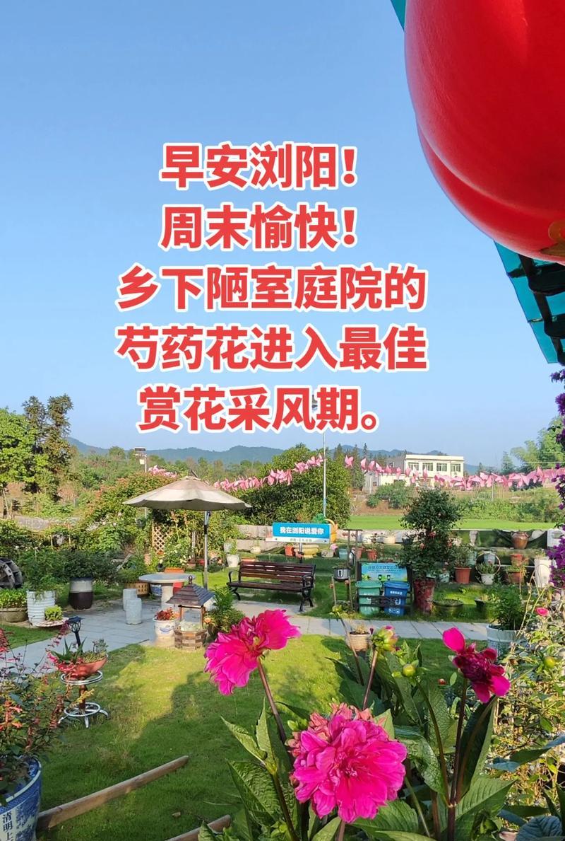 《学会坚强，保持谦逊》
