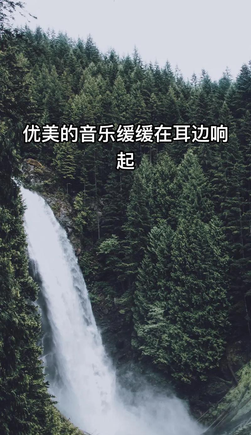 音乐，我心中的美好（音乐，我心中的美好）