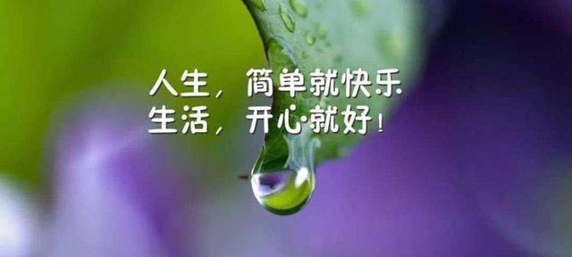 寻找幸福的旅程（一位女孩的奋斗史）