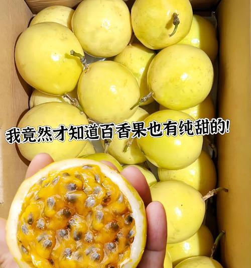 又香又甜的诱惑（一个人的味觉之旅）