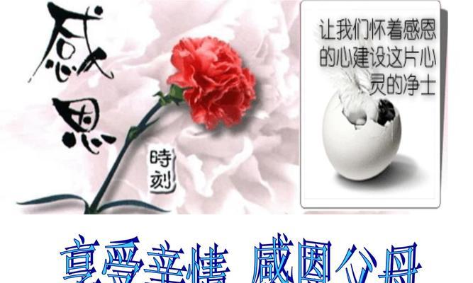 感恩亲情（一段关于家庭和亲情的故事）