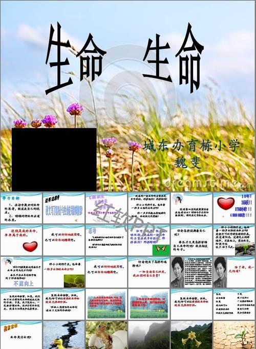 活在当下，感受生命的价值（年轻女孩的成长之路）