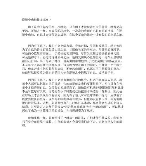 成长的逆境（一个少年的奋斗之路）