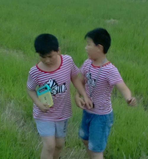 梦里的蝴蝶（一段不一样的青春记忆）