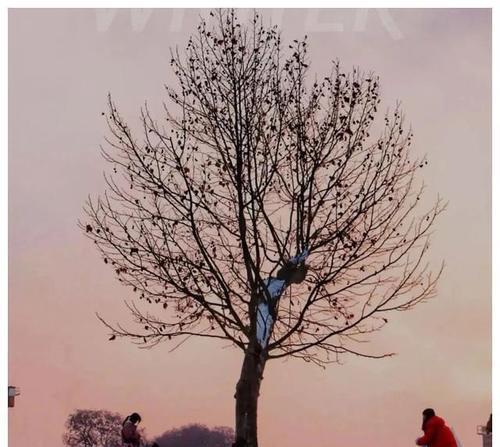 信仰的力量（一个少年的成长之路）