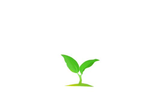 树干下的人生(一棵树,一段人生,一生所爱)