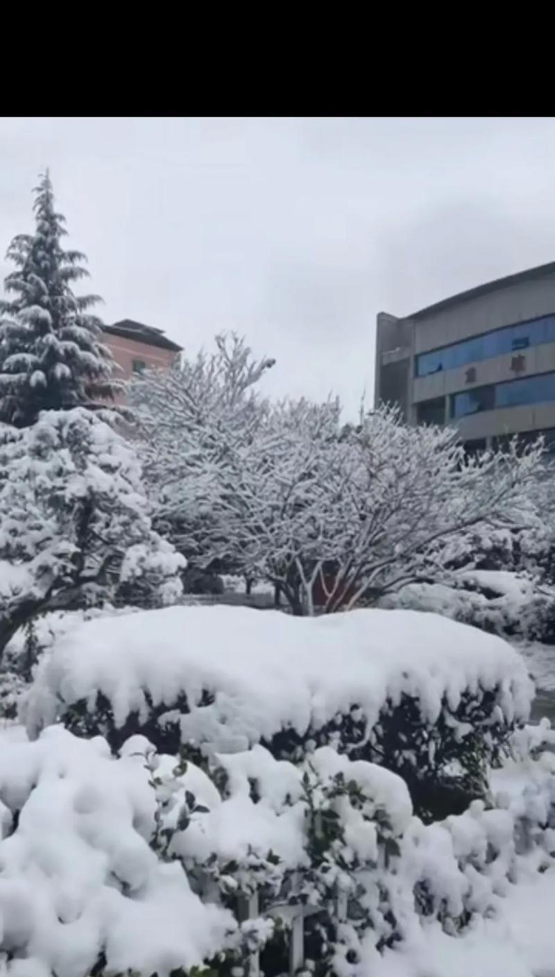 初雪的祝福（一场雪，一段情）