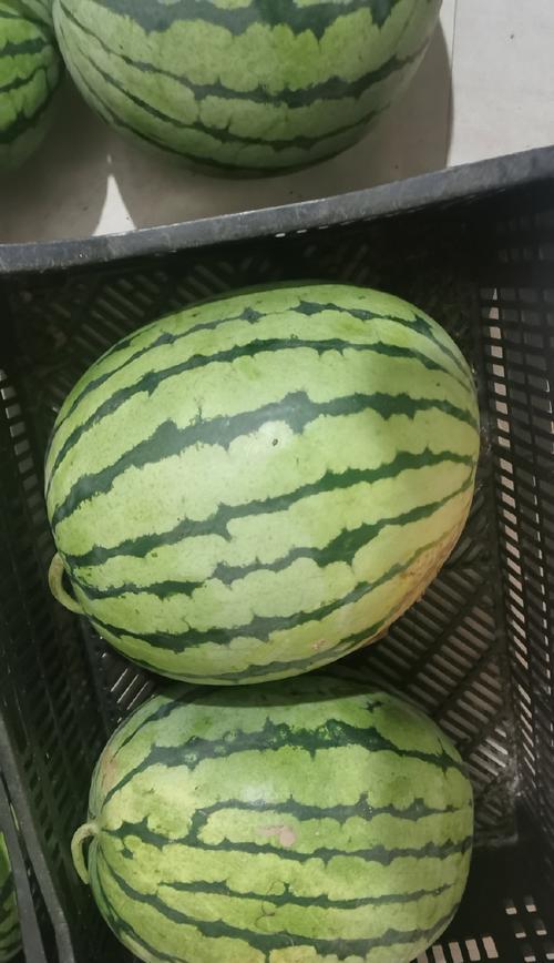 自助者天助（自助者天助）