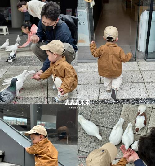 与鸽子为伴（一段让人感动的故事）