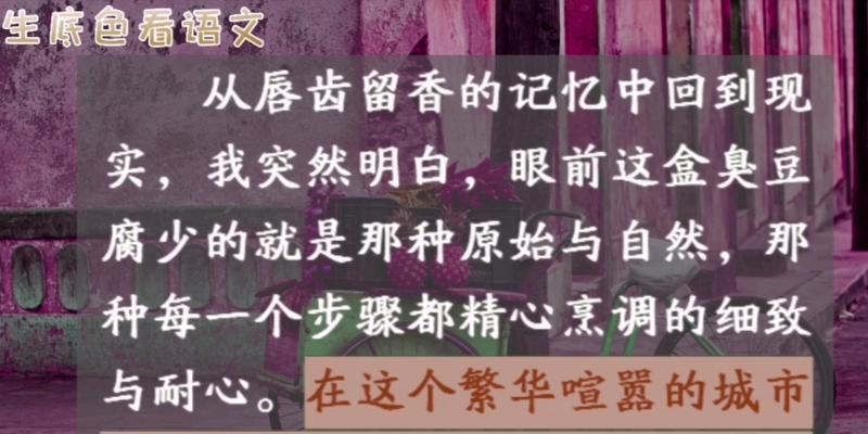 细节里的灿烂（一个年轻女孩的生活故事）
