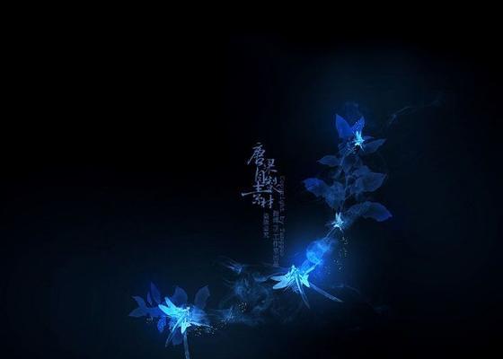 照亮前行的路途（她是暗夜里的光）