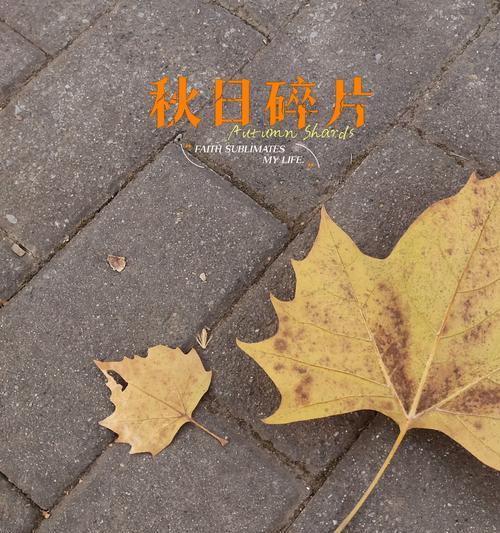 冬日的寂静