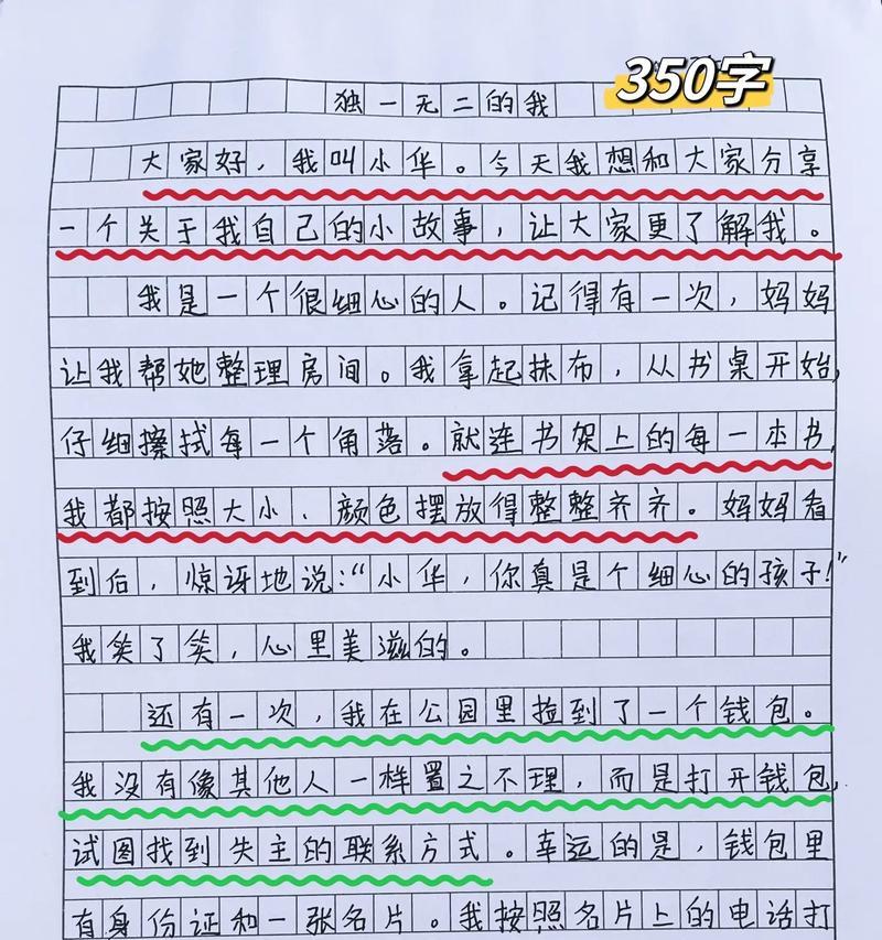 自画像（我看到的自己）